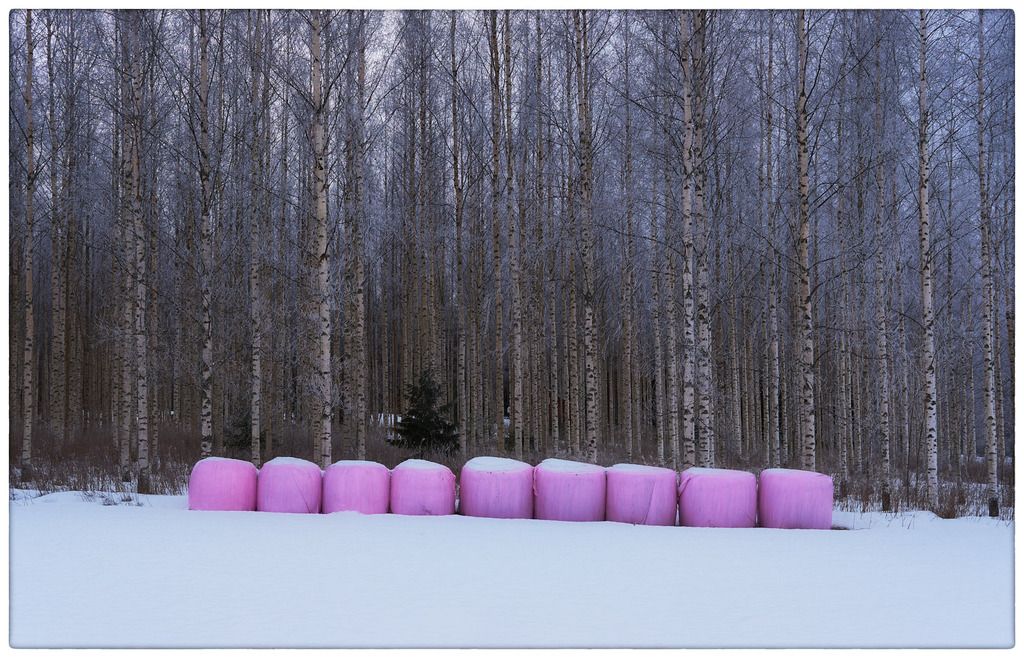 _DSF1256%202%201%201karkki%201_zps9oj85e