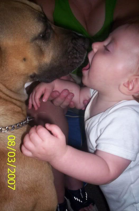 luca9-10months119.jpg Puppy kisses image by gonekrzy17