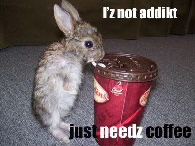 coffee Pictures, Images and Photos
