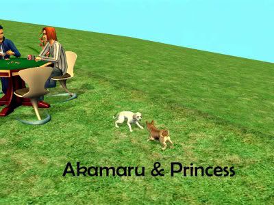 Photobucket - Video and Image Hosting