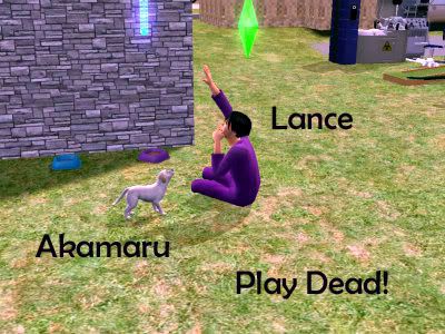 Photobucket - Video and Image Hosting