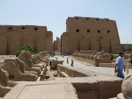 Viaje Inolvidable: Egipto - Blogs de Egipto - Día 1 - Luxor en un día (20)