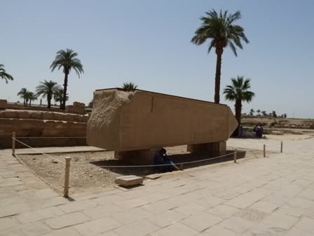 Viaje Inolvidable: Egipto - Blogs de Egipto - Día 1 - Luxor en un día (36)