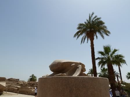 Viaje Inolvidable: Egipto - Blogs de Egipto - Día 1 - Luxor en un día (38)