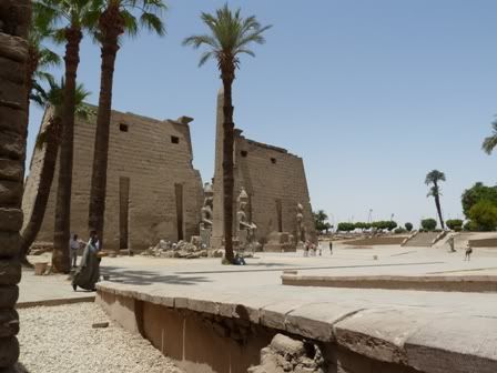 Viaje Inolvidable: Egipto - Blogs de Egipto - Día 1 - Luxor en un día (40)