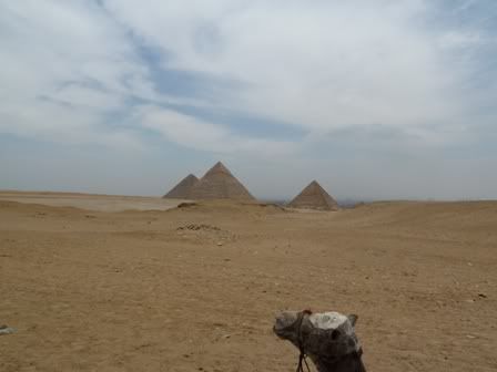 día 5 - ¡PIRÁMIDES! - Viaje Inolvidable: Egipto (6)