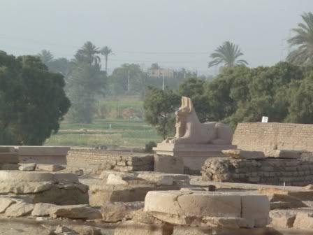Viaje Inolvidable: Egipto - Blogs de Egipto - Día 1 - Luxor en un día (4)