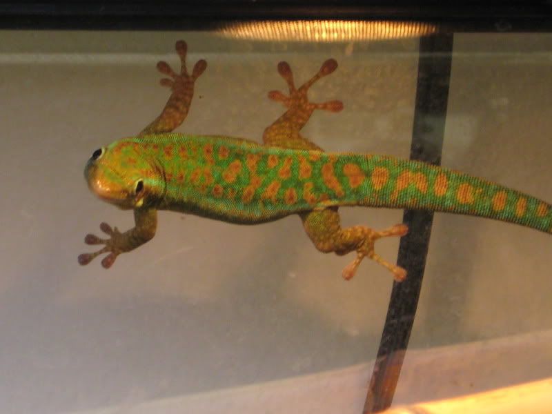 IMG_3272.jpg