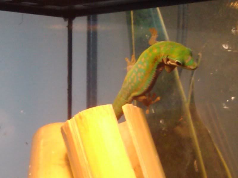 2012-03-17205529.jpg