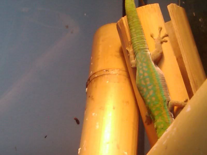 2012-03-17205542.jpg