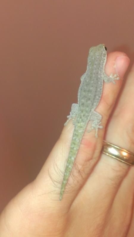 IMAG0013.jpg