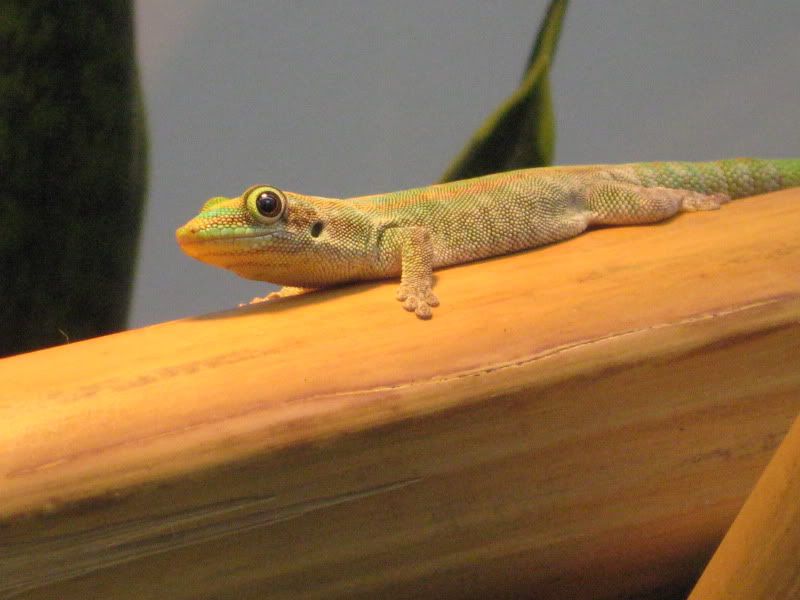 IMG_3391.jpg
