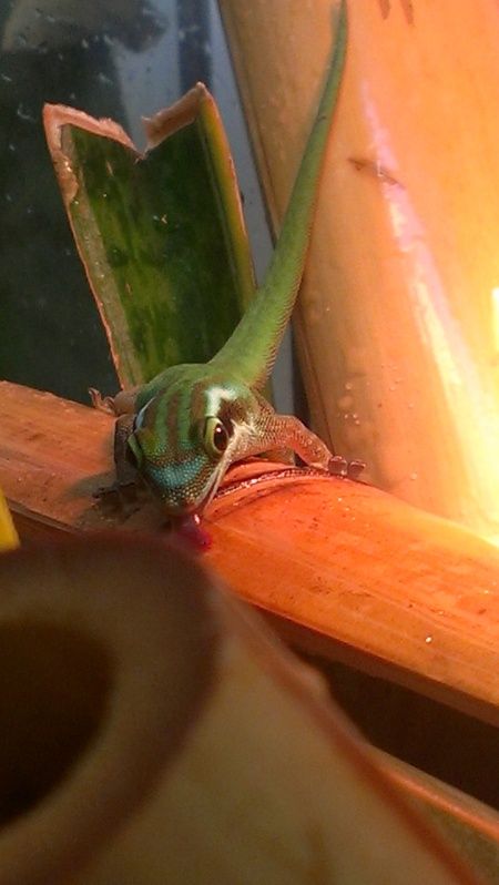 IMAG0210.jpg