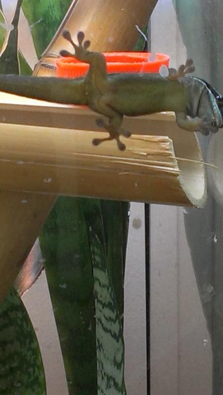 IMAG0305.jpg
