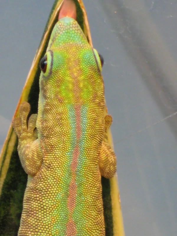 IMG_3252.jpg