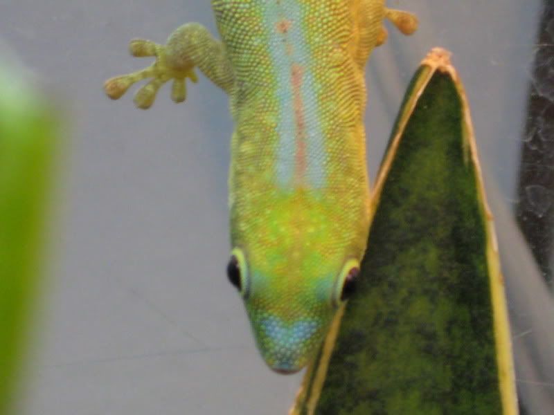 IMG_3257.jpg