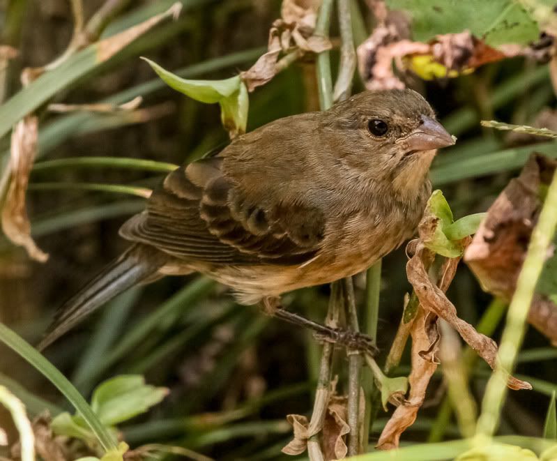 IMAGE: http://i111.photobucket.com/albums/n127/dgraham329/IMG_9666.jpg