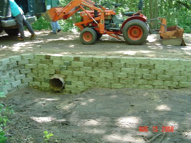 convert moist grass to veggie garden - Homesteading Questions