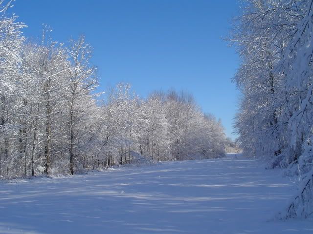 recycling wizzes? - Homesteading Questions