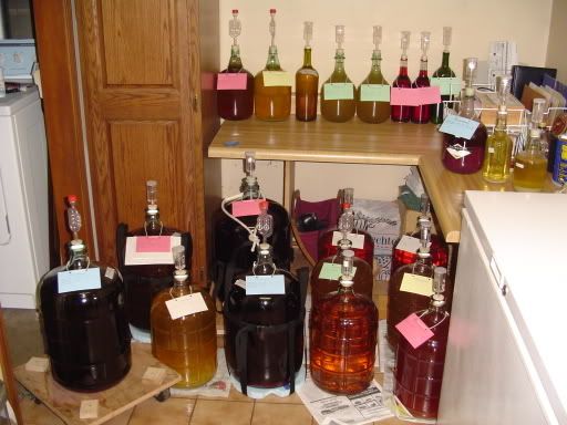 Homesteading Burned Out - Homesteading Questions