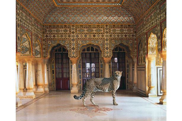  photo Karen_Knorr_India_Song_Janel_Holiday_Interior_Design5_zpsemajbuv9.jpg