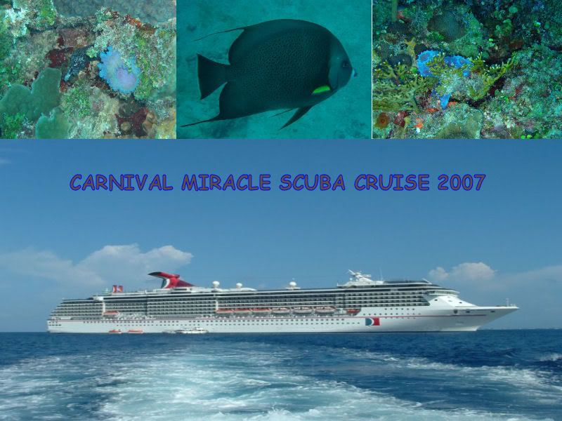 CarnivalMiracleScubaCruise1.jpg