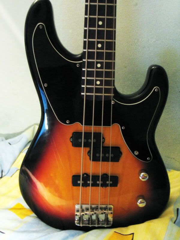 http://i111.photobucket.com/albums/n130/ramon_esteves/telofront.jpg