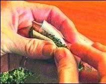 marajuana Pictures, Images and Photos