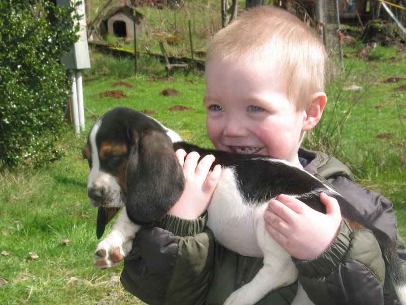 Photobucket - Video and Image Hosting