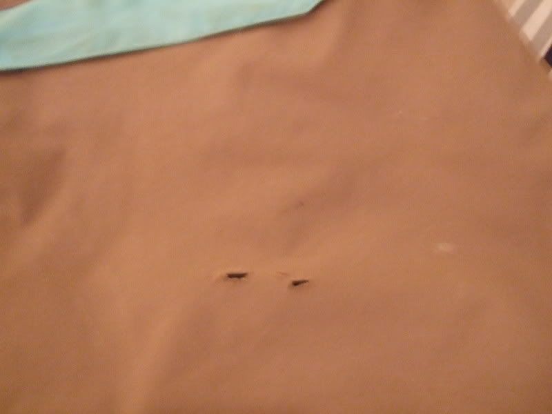 DSCF0639.jpg