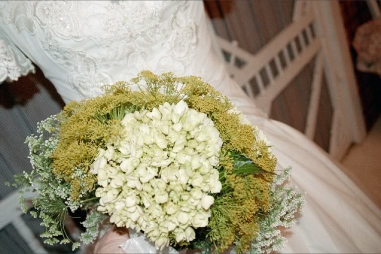 Bridal Bouquet-White Hydrangea, Dill Pictures, Images and Photos