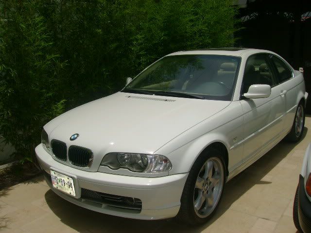 bimmer2.jpg