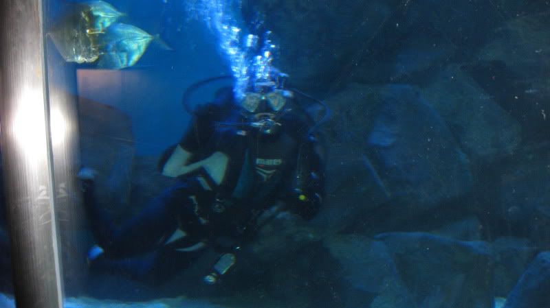 IMG_0052.jpg