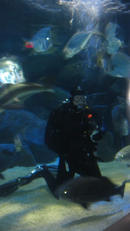 IMG_0068.jpg