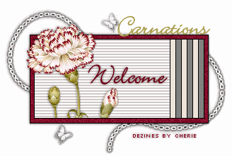 welcome carnation blinkie