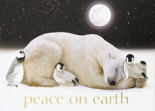 peace on earth polar bear penguins