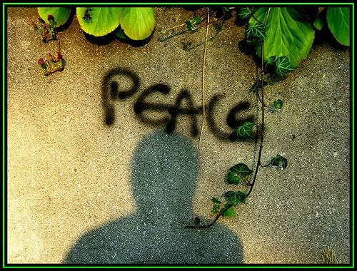 peace shadow leaves