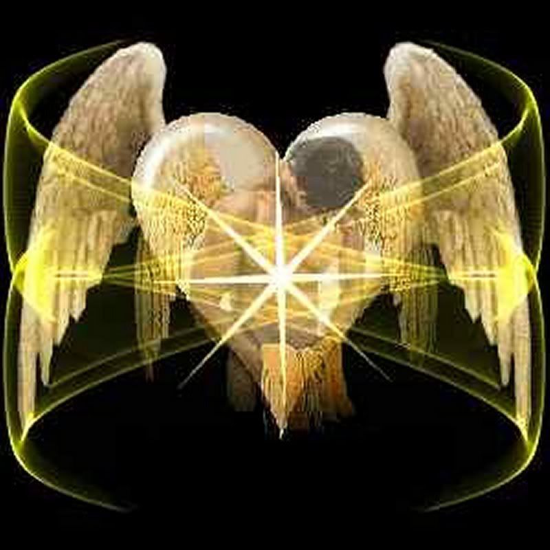 male angel Pictures, Images and Photos