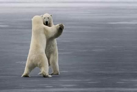 polar-bear-dance.jpg