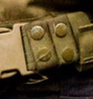 353.jpg