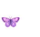 Be Butterfly Pic Be Butterfly Pic