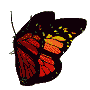 Resting Monarch Resting Monarch