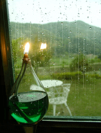Rain thru a window Pictures, Images and Photos