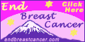 Breast Cancer Race Logo Breast Cancer Race Logo