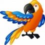 14508801-funny-parrot-cartoon90x90.jpg