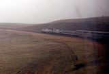 frontoftrain.jpg image by msaelith