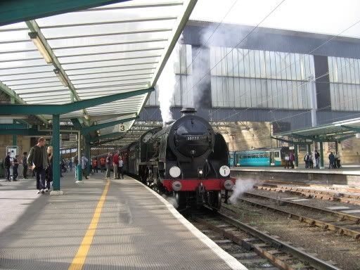 Puppetsandsteamtrain038.jpg