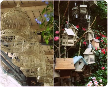 paris 4 arrondissement marche oiseaux fleurs place louis lepine ile cite saint michel cages graines oiseau volatile deco decoration maison