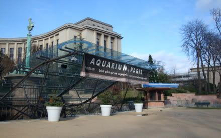 cineaqua aquarium paris jardin trocadero cine aqua