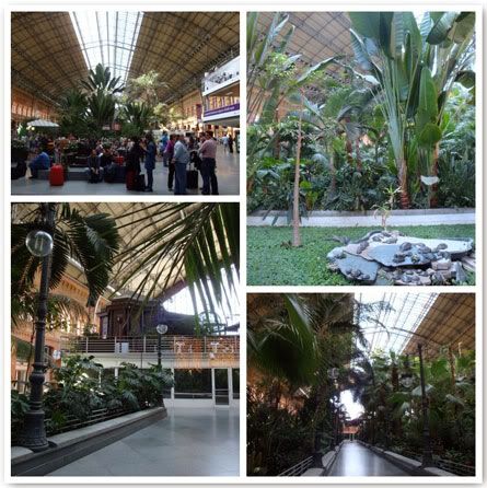  Madrid Espagne week end escapade city break gare atocha estacion puerta da jardin tropical plantes palmiers